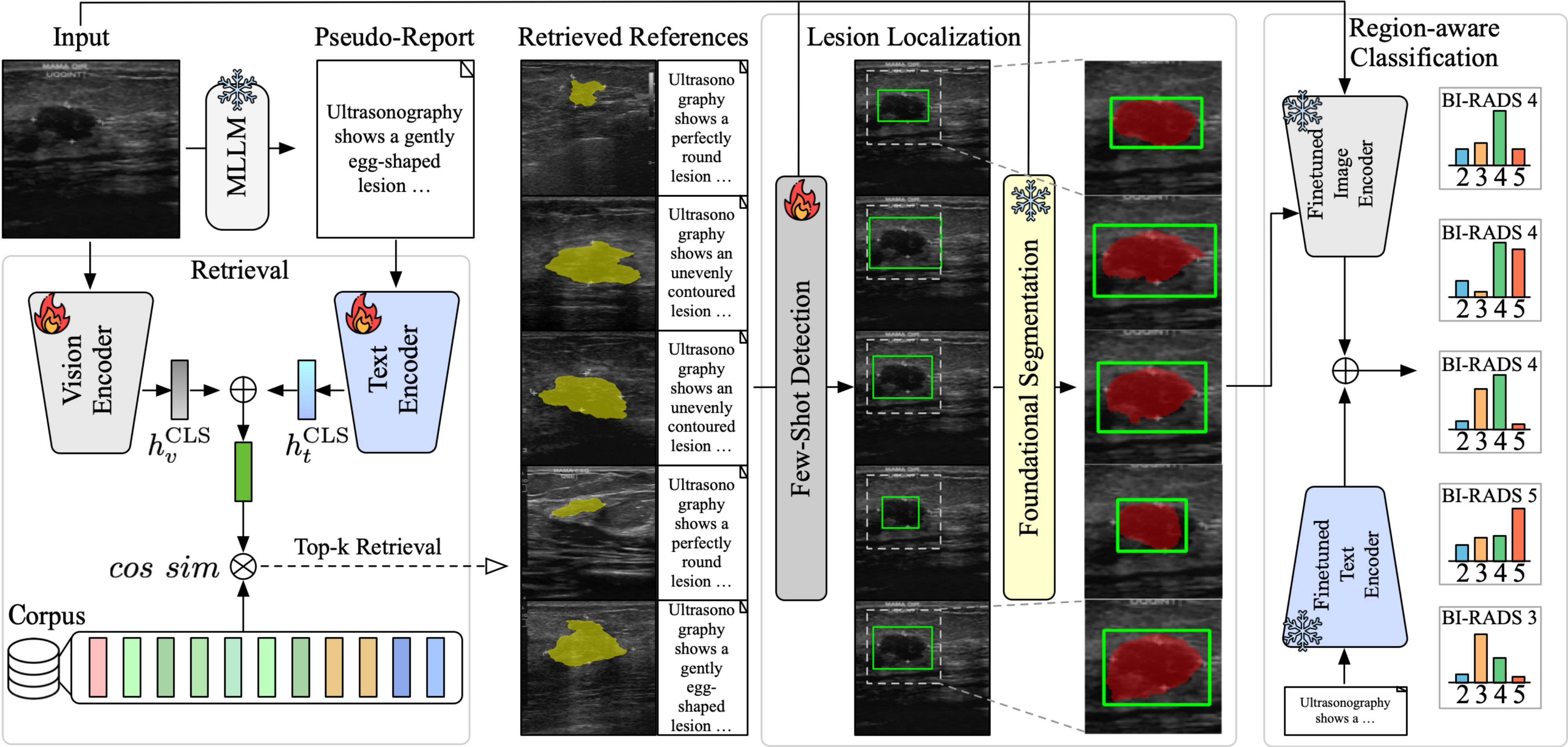 B-RAD pipeline: retrieval, few-shot detection and foundational segmentation, region-aware classification