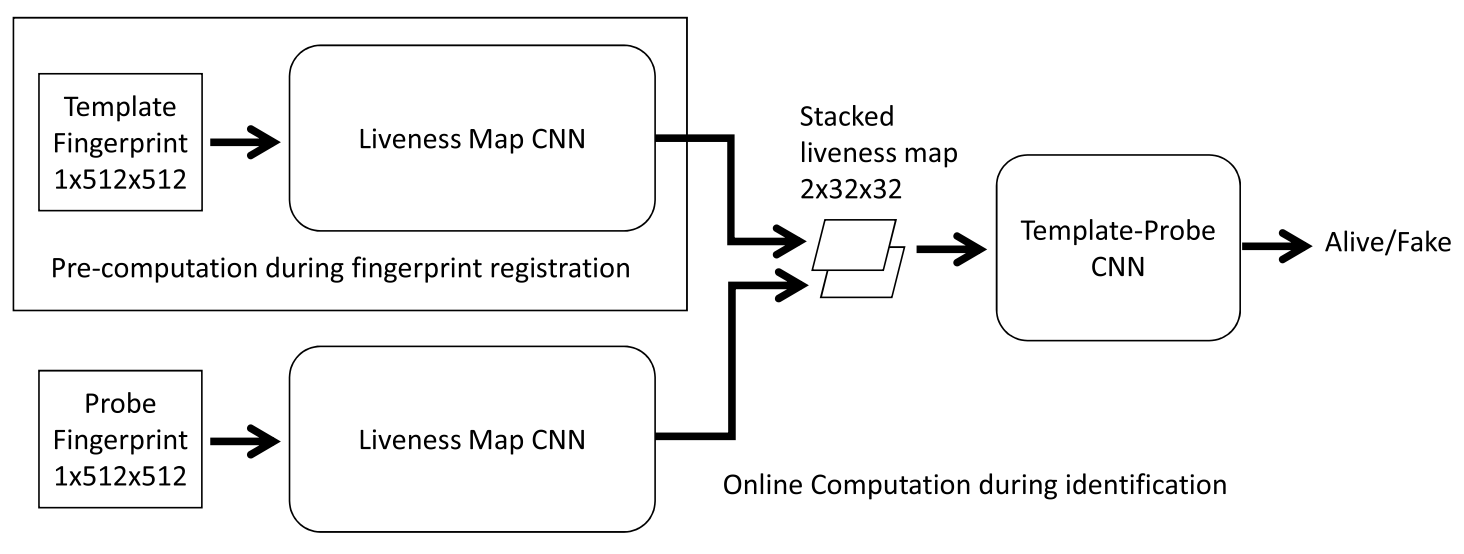 Fingerprint liveness detection by a template-probe convolutional neural network.