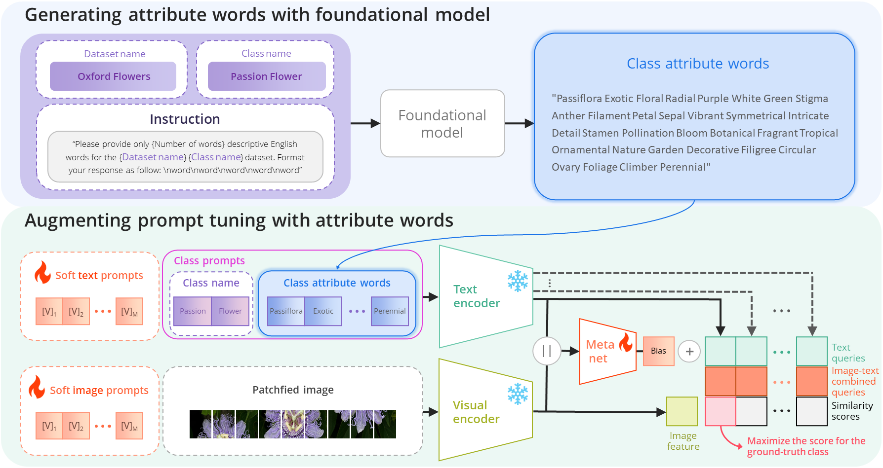 CoAPT: Context attribute words for prompt tuning
